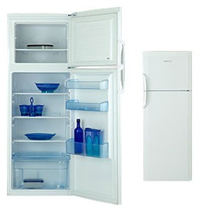 Buzdolabı BEKO DSE 30020 fotoğraf, özellikleri