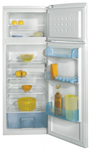 Холодильник BEKO DSK 25000 фото, Характеристики
