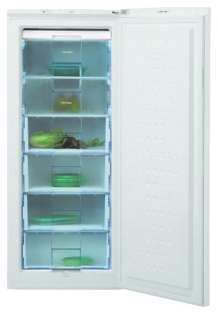 Kühlschrank BEKO FSA 21300 Foto, Charakteristik