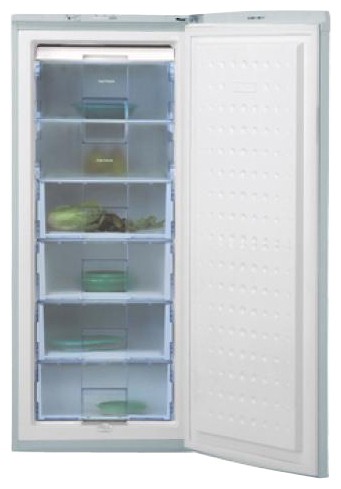 Refrigerator BEKO FSA 21320 larawan, katangian