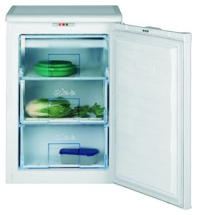 Refrigerator BEKO FSE 1010 larawan, katangian