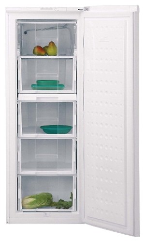 Kühlschrank BEKO FSE 21906 Foto, Charakteristik
