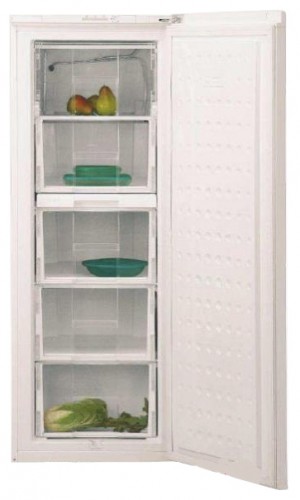 Refrigerator BEKO FSE 21920 larawan, katangian