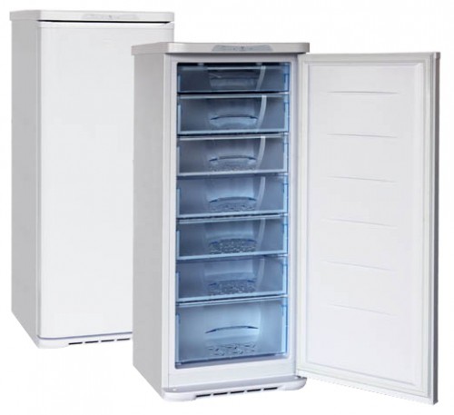 Buzdolabı Бирюса 146 fotoğraf, özellikleri