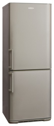 Refrigerator Бирюса M143 KLS larawan, katangian