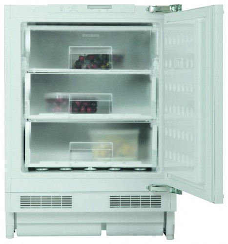 Buzdolabı Blomberg FSE 1630 U fotoğraf, özellikleri