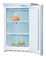 Refrigerator Bosch GSD10V21 larawan, katangian