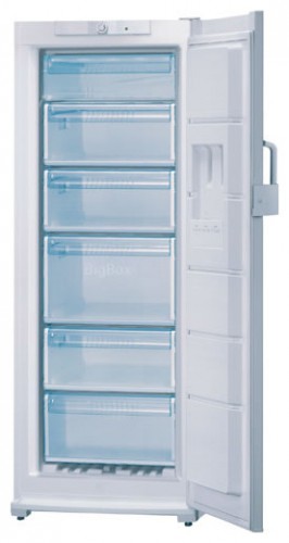 Ψυγείο Bosch GSD26410 φωτογραφία, χαρακτηριστικά