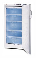 Tủ lạnh Bosch GSE22421 ảnh, đặc điểm