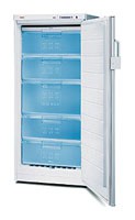 Refrigerator Bosch GSE22422 larawan, katangian