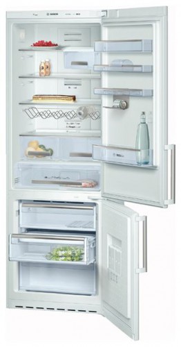 Refrigerator Bosch KGN49A10 larawan, katangian