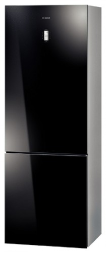 Buzdolabı Bosch KGN49SB31 fotoğraf, özellikleri
