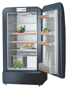 Refrigerator Bosch KSW20S50 larawan, katangian