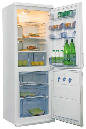 Холодильник Candy CCM 340 SL фото, Характеристики