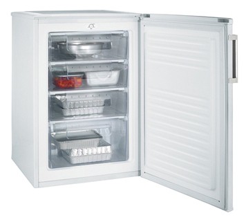 Холодильник Candy CCTUS 544 WH Фото, характеристики