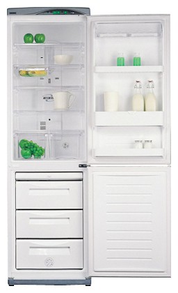 Kühlschrank Daewoo Electronics ERF-385 AHE Foto, Charakteristik