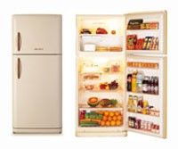 Kühlschrank Daewoo Electronics FR-520 NT Foto, Charakteristik
