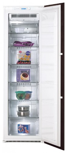 Refrigerator De Dietrich DFS 920 JE larawan, katangian