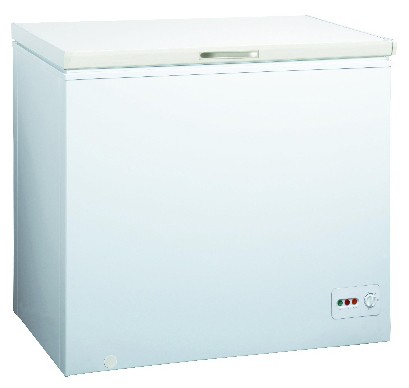 Buzdolabı Delfa DCF-198 fotoğraf, özellikleri