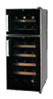 Refrigerator Ecotronic WCM2-21DE larawan, katangian