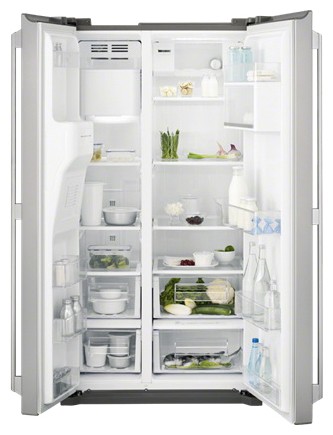 Refrigerator Electrolux EAL 6140 WOU larawan, katangian