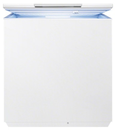 Tủ lạnh Electrolux EC 2201 AOW ảnh, đặc điểm