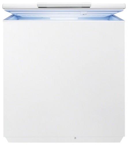 Tủ lạnh Electrolux EC 2231 AOW ảnh, đặc điểm
