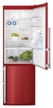 Refrigerator Electrolux EN 3487 AOH larawan, katangian