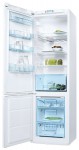 Kühlschrank Electrolux ENB 38400 59.50x201.00x63.20 cm