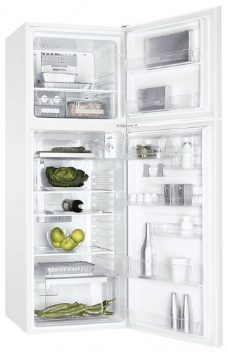 Refrigerator Electrolux END 32310 W larawan, katangian