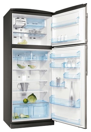 Refrigerator Electrolux END 44501 X larawan, katangian