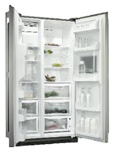 Ψυγείο Electrolux ENL 60812 X φωτογραφία, χαρακτηριστικά