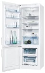 Kühlschrank Electrolux ERB 23010 W 54.00x160.00x60.00 cm