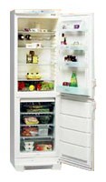 Refrigerator Electrolux ERB 3103 larawan, katangian