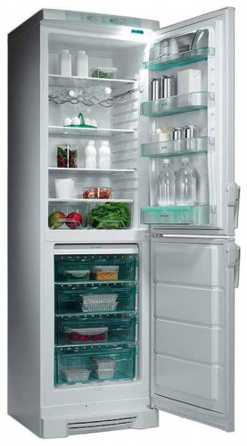Tủ lạnh Electrolux ERB 3106 ảnh, đặc điểm