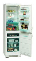 Tủ lạnh Electrolux ERB 3109 ảnh, đặc điểm