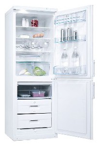 Refrigerator Electrolux ERB 31099 W larawan, katangian