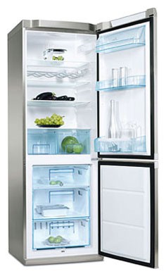 Холодильник Electrolux ERB 34301 X Фото, характеристики
