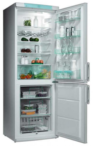 Refrigerator Electrolux ERB 3445 W larawan, katangian