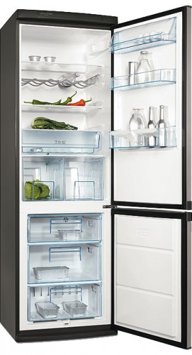Buzdolabı Electrolux ERB 36033 X fotoğraf, özellikleri