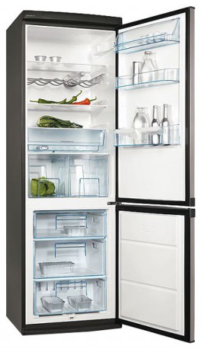 Refrigerator Electrolux ERB 36233 X larawan, katangian