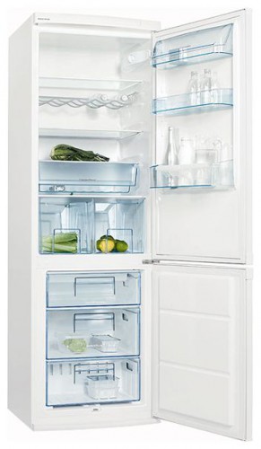 Refrigerator Electrolux ERB 36300 W larawan, katangian