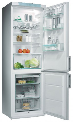 Refrigerator Electrolux ERB 3644 larawan, katangian