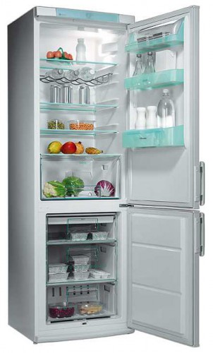 Buzdolabı Electrolux ERB 3651 fotoğraf, özellikleri