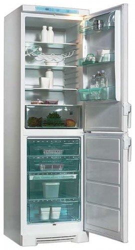 Ψυγείο Electrolux ERB 3909 φωτογραφία, χαρακτηριστικά