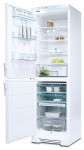 Холодильник Electrolux ERB 3911 60.00x200.00x60.00 см