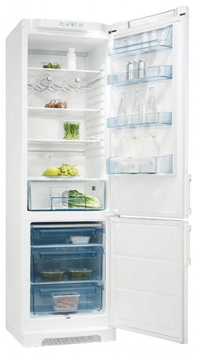 Холодильник Electrolux ERB 39310 W фото, Характеристики