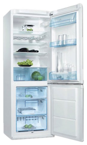 Buzdolabı Electrolux ERB 40003 W fotoğraf, özellikleri