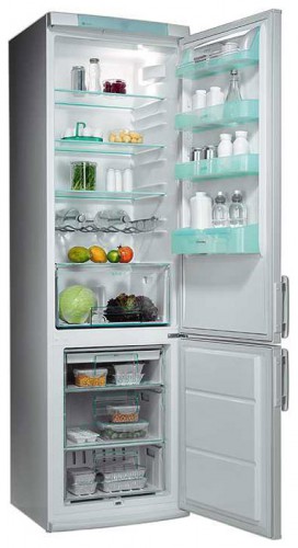 Refrigerator Electrolux ERB 4051 larawan, katangian