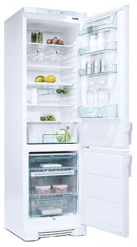 Buzdolabı Electrolux ERB 4111 fotoğraf, özellikleri